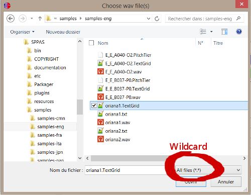 Adding specific files